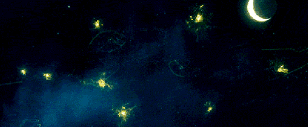 中秋月饼吃腻了？吃这些永远不会腻 | 生活方式